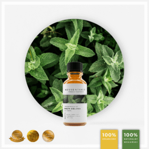 Olejek eteryczny ORGANICZNY z Mięty Zielonej (Mentha Spicata)