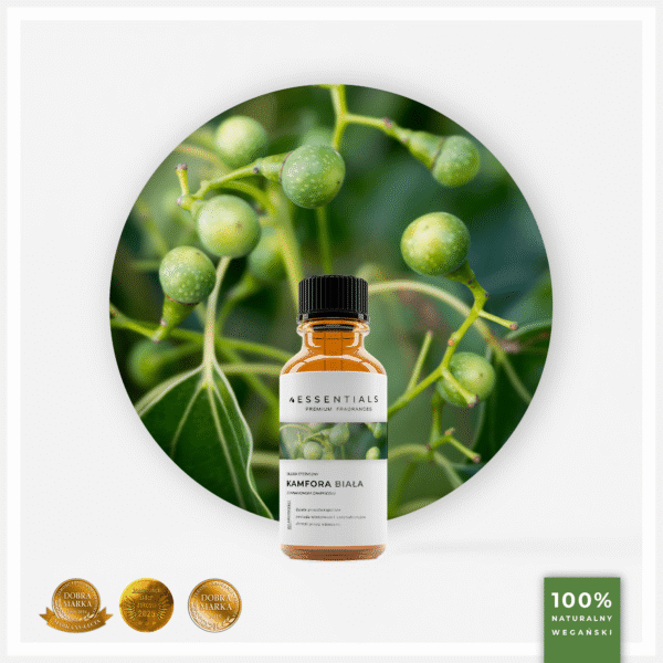 Olejek eteryczny Kamforowy Biały (Cinnamomum Camphora)