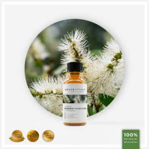 Olejek eteryczny z Drzewa Herbacianego (Melaleuca Alternifolia)