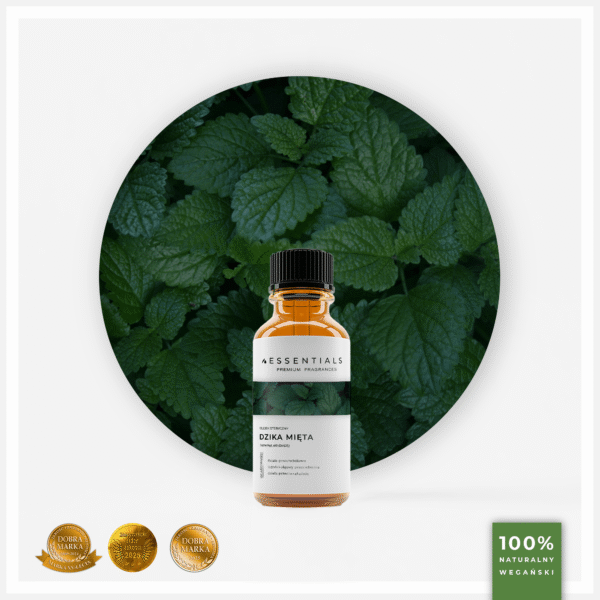 Olejek eteryczny z Dzikiej Mięty (Mentha arvensis)