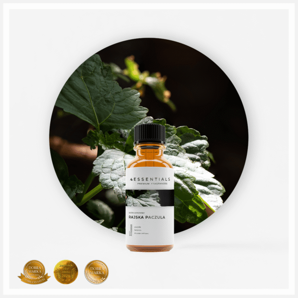 Olejek zapachowy Paczulowy (Rajska Paczula)