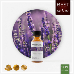 Olejek eteryczny Lawendowy Grosso (Lavandula Hybrida)