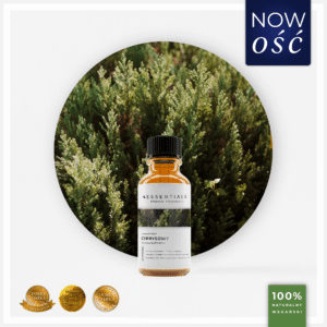 Olejek eteryczny Cyprysowy (Cupressus sempervirens)